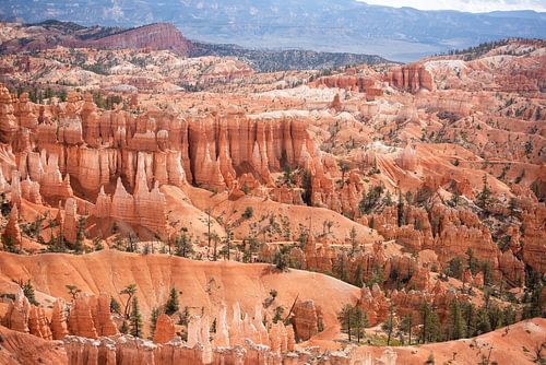 Amerika, Bryce Canyon van Jacqueline Ermens