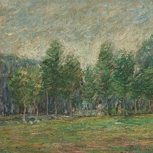 Francis Picabia - Waldrand