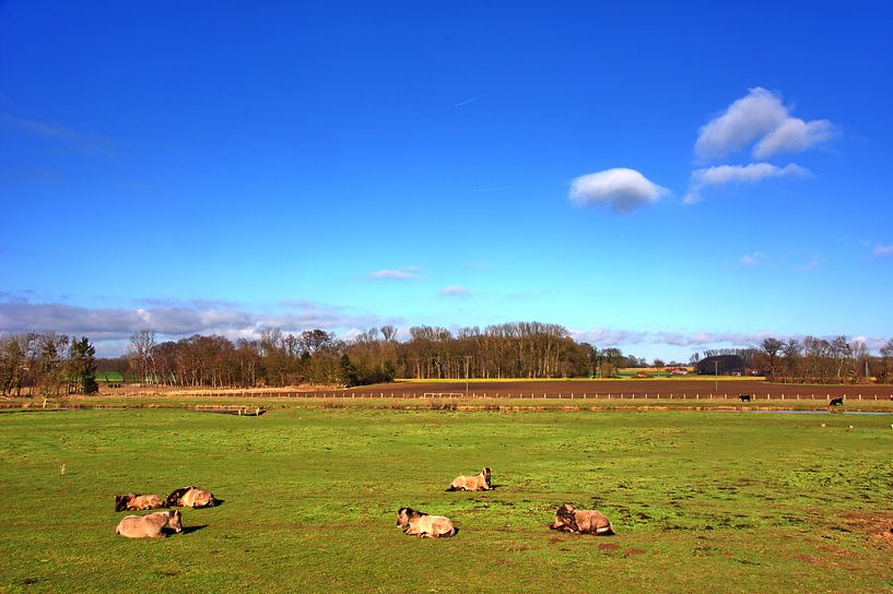 Stever Aue 10 par Edgar Schermaul