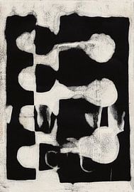 Abstract organic shapes in black and white no. 1 by Dina Dankers