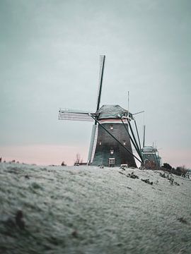 Mühlen von Stompwijk im Winter von Teun de Leede