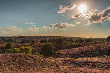 View over the Posbank at sunset by Karin Riethoven