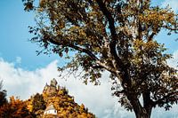 Château sur la montagne à Cochem