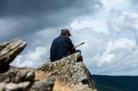 Shepherd on the lookout by SusanneV thumbnail