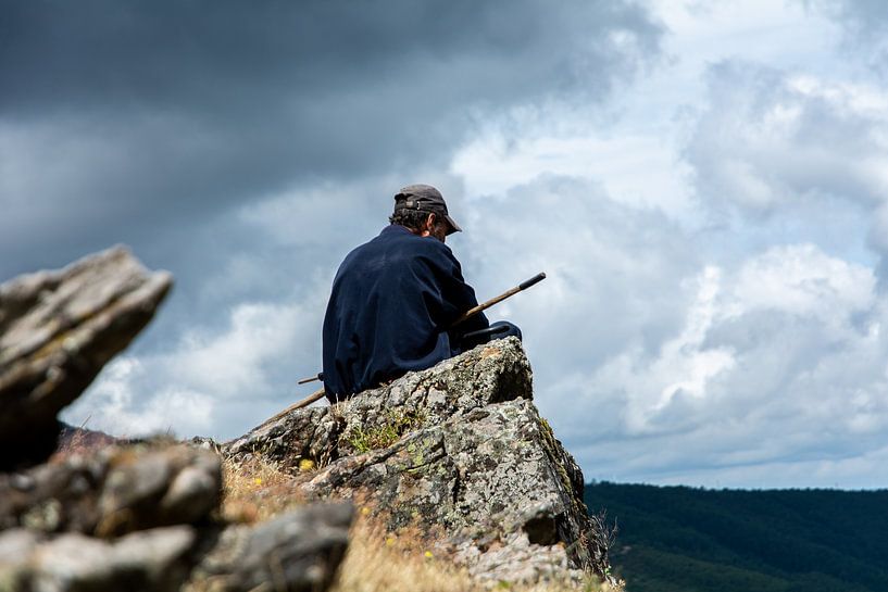 Shepherd on the lookout by SusanneV