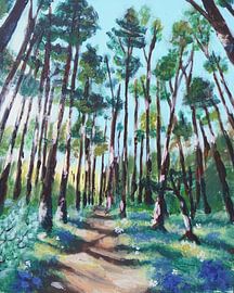 Veluwe von Irina Rammos