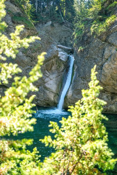 Buchenegg waterfall in summer by Leo Schindzielorz