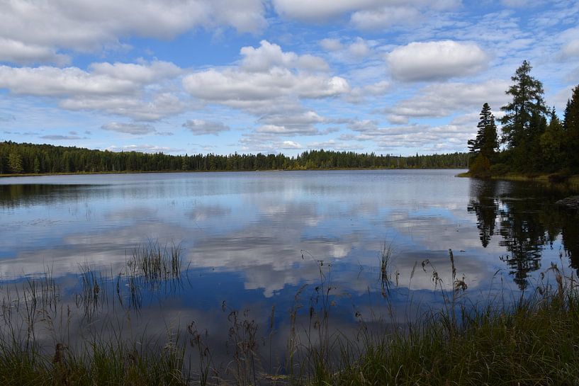 Reflection on the lake in autumn by Claude Laprise