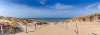 To the beach