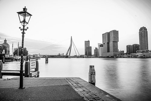 Good Morning Rotterdam