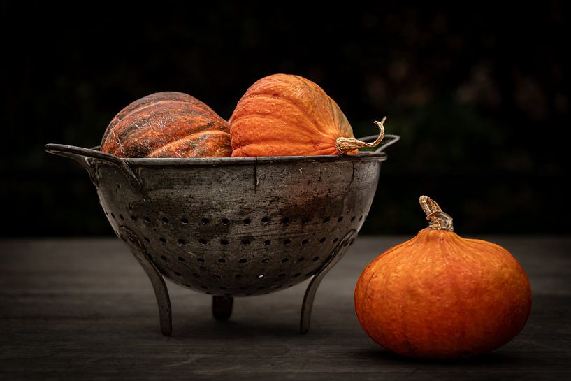 Pumpkin time by Irene Ruysch fotografie