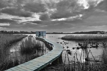Winter view with selective colour on a lake by Retrotimes