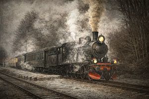Locomotive à vapeur 1040 de la ZLSM