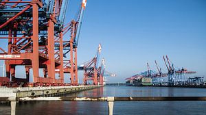 Hamburg Containerterminal