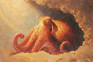 Oktopus im goldenen Licht