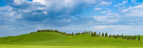 Where silence takes root - a glimpse into the soul of Tuscany by Walter G. Allgöwer