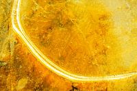 Abstract from Nature #5 gold