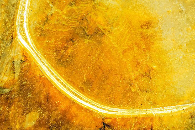 Abstrait de la nature #5 or par Fred Schuch