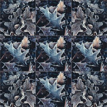 Frostige Collage-2 von Rob van der Pijll