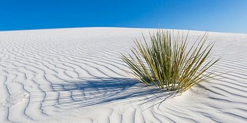 Duinen, White Sands National Monument | Panorama van Melanie Viola