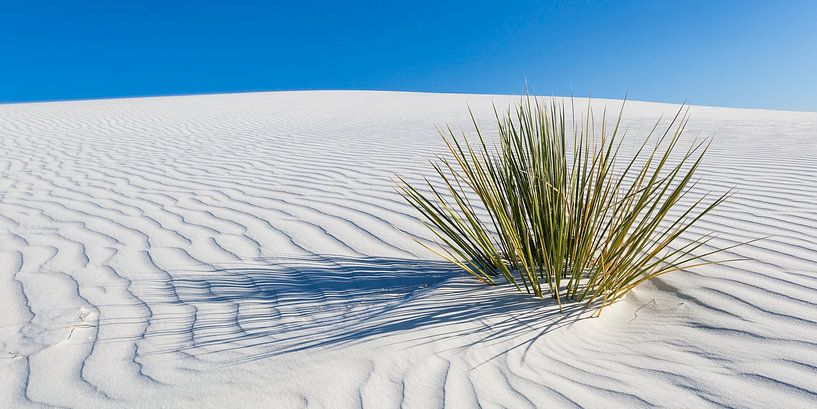 Duinen, White Sands National Monument | Panorama van Melanie Viola