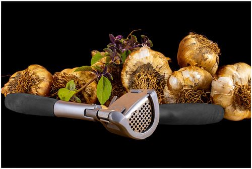 Garlic product photography