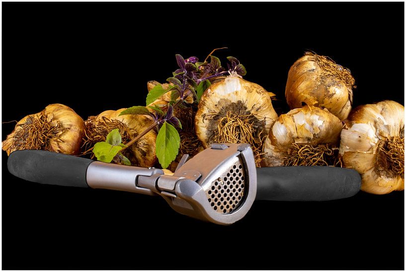 Garlic product photography by Jack Van de Vin