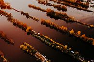 Luchtfoto van Scheendijk tijdens zonsopkomst van Michiel de Bruin thumbnail