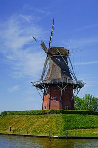 Molen Zeldenrust Dokkum