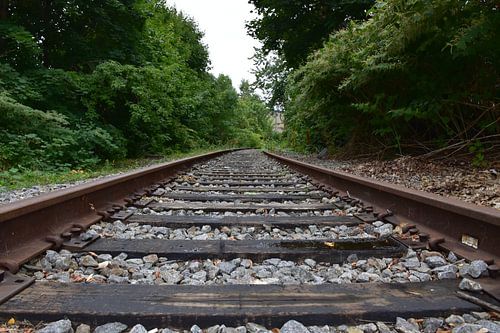An abandoned railway