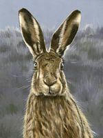 Der wachsame Hase