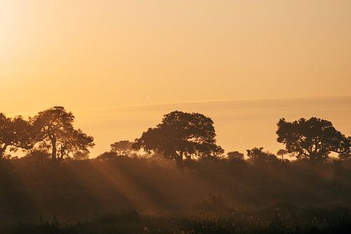 Sunset in Kruger Park South Africa