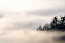 Anything is possible by Anne Schwedat