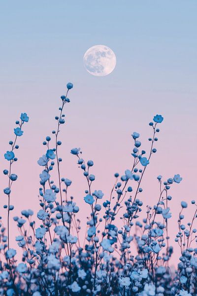 Blaue Blumen und Vollmond von Thea