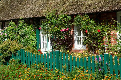 Reetgedecktes Bauernhaus im Bremer Blockland, Bremen, Deutschland, Europa