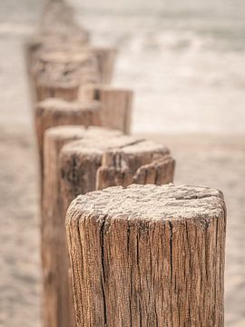 Paalhoofden close-up aan Zeeuws strand van Michel Seelen