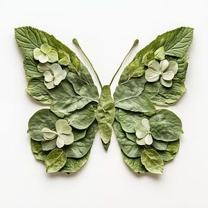Schmetterling aus Blütenblättern