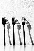 Fourchettes