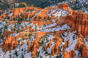 Winter im Bryce-Canyon-Nationalpark, Utah