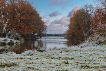 Herbstfarben in einer eisigen Landschaft