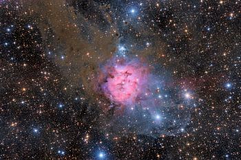 The Cocoon Nebula