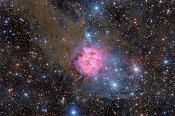 The Cocoon Nebula by Benjamin Butschell