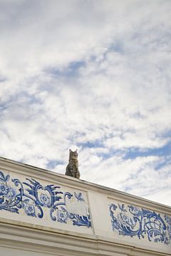 The sky is the limit - Cyperse kat, zittend op een dak in Lagos met een rand van Portugese blauw-witte tegels van Annette Hagemeijer