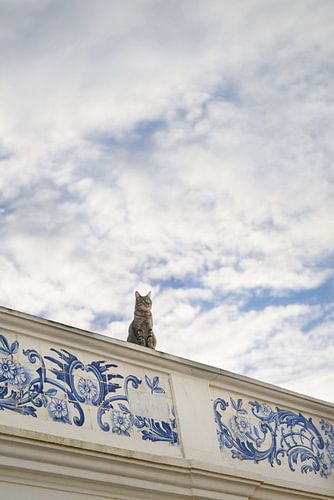 Zypressen-Katze, die auf einem Dach mit einer Umrandung aus blauen und weißen portugiesischen Ziegeln sitzt und in den blauen Himmel mit weißen Wolken blickt