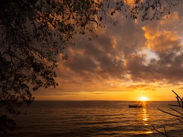 Lever de soleil, nez en l'air