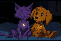 Lunar and Solar Companions