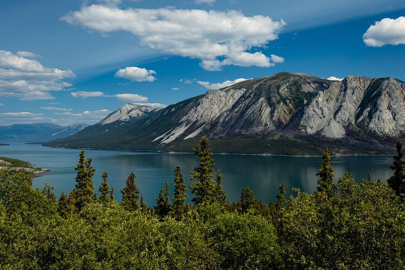 Landschaft in den Rocky Mountains von Roland Brack
