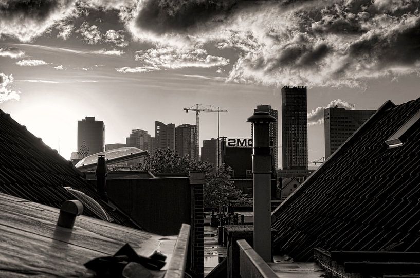 Het dak van Rotterdam par Vincent van Kooten