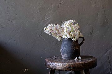 Still life with blossom horse chestnut by Affect Fotografie