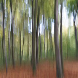 Forêt hantée sur Axel Bückert